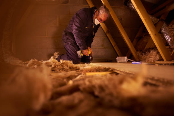 Best Insulation Installation Services in Prosperity, WV